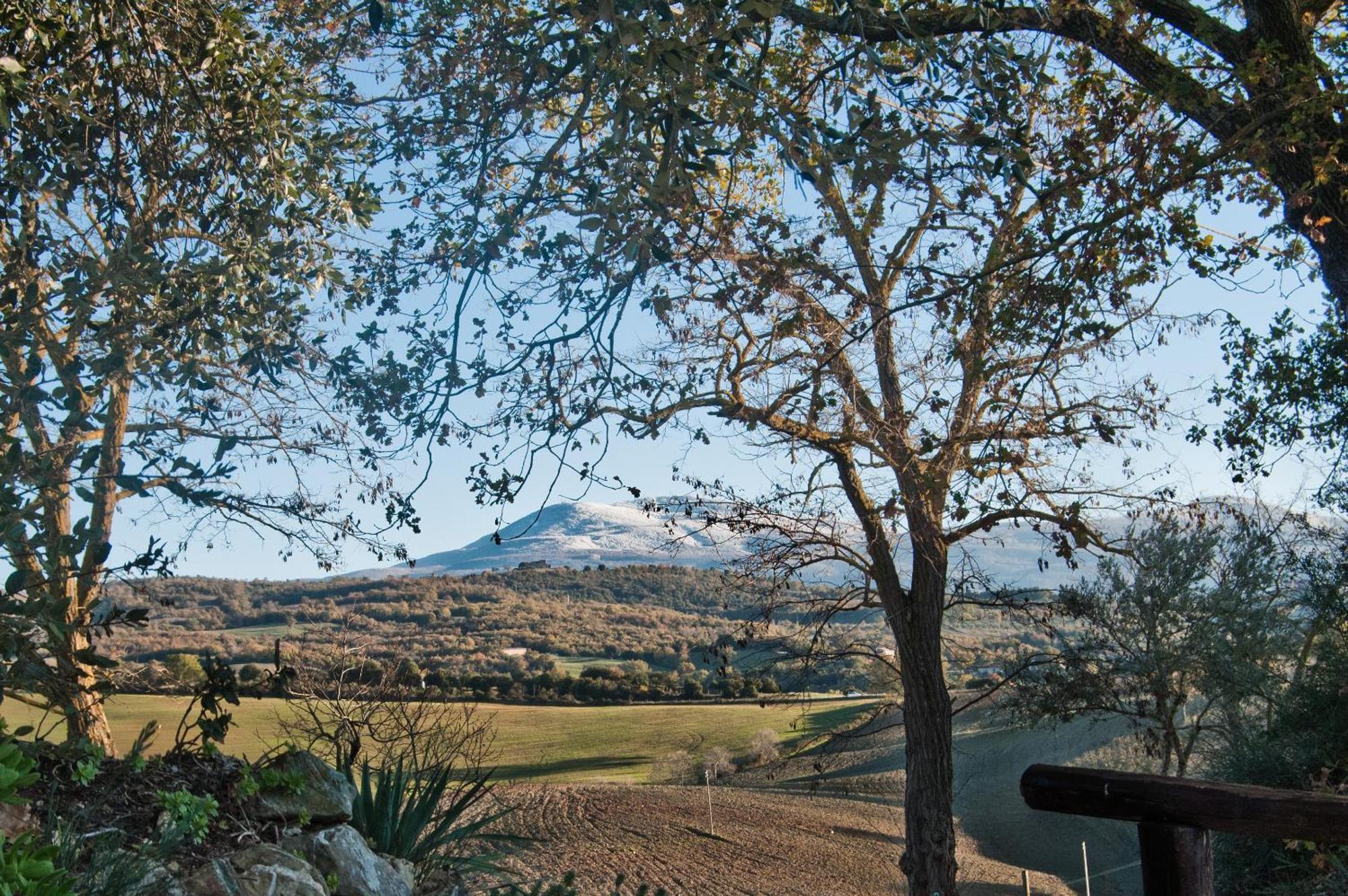 Agriturismo Grossola Castiglione dʼOrcia Exterior foto