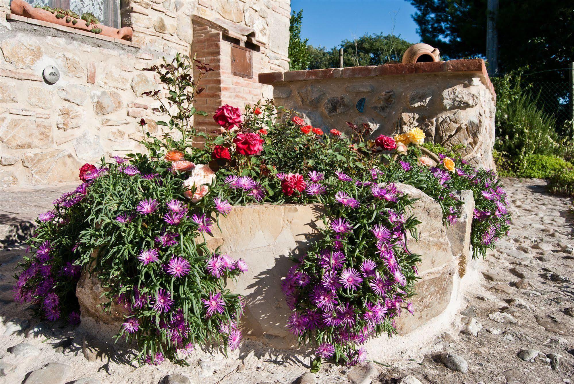 Agriturismo Grossola Castiglione dʼOrcia Exterior foto